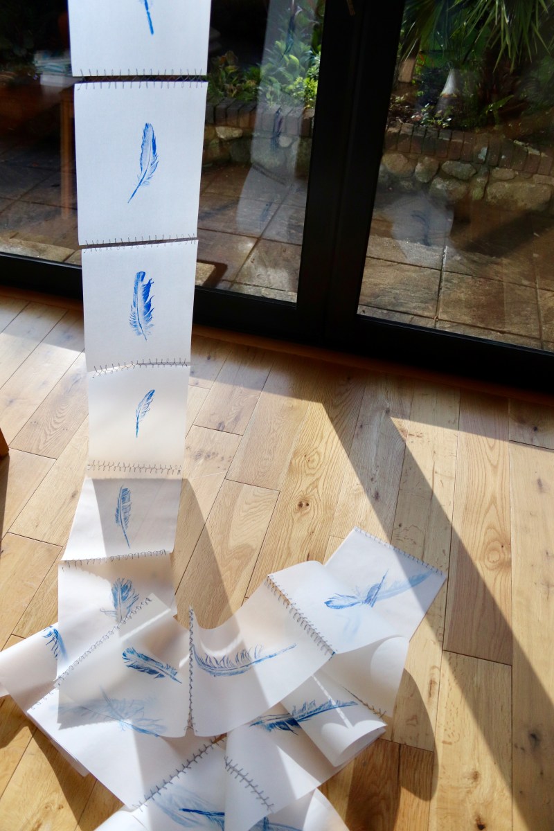 monotype; printmaking; Fran Farrar; printing; feathers; installation art