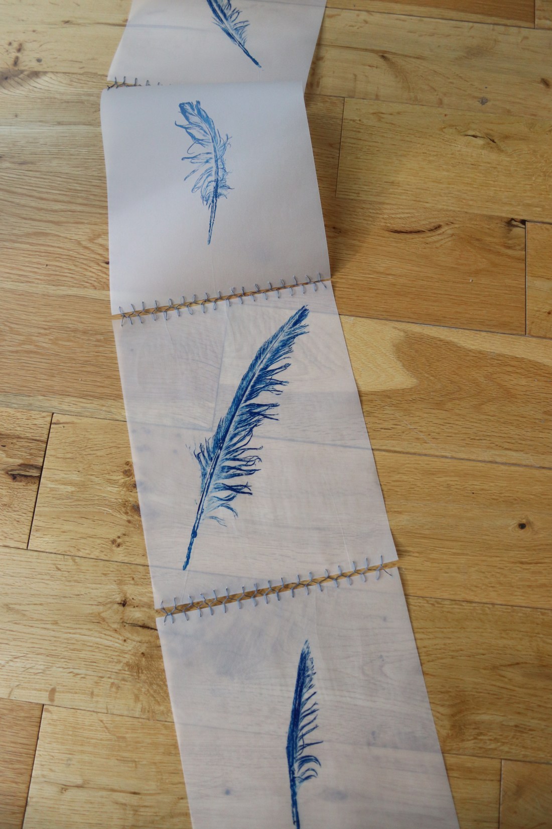 monotype; printmaking; Fran Farrar; printing; feathers; installation art