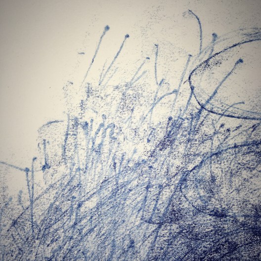 monotype; printmaking; Fran Farrar; somerset paper; printing; ancestry