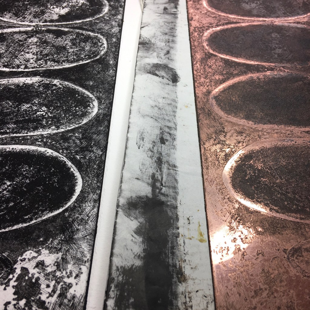 fran farrar, printmaking, printmaker, copper etching, etching, artist