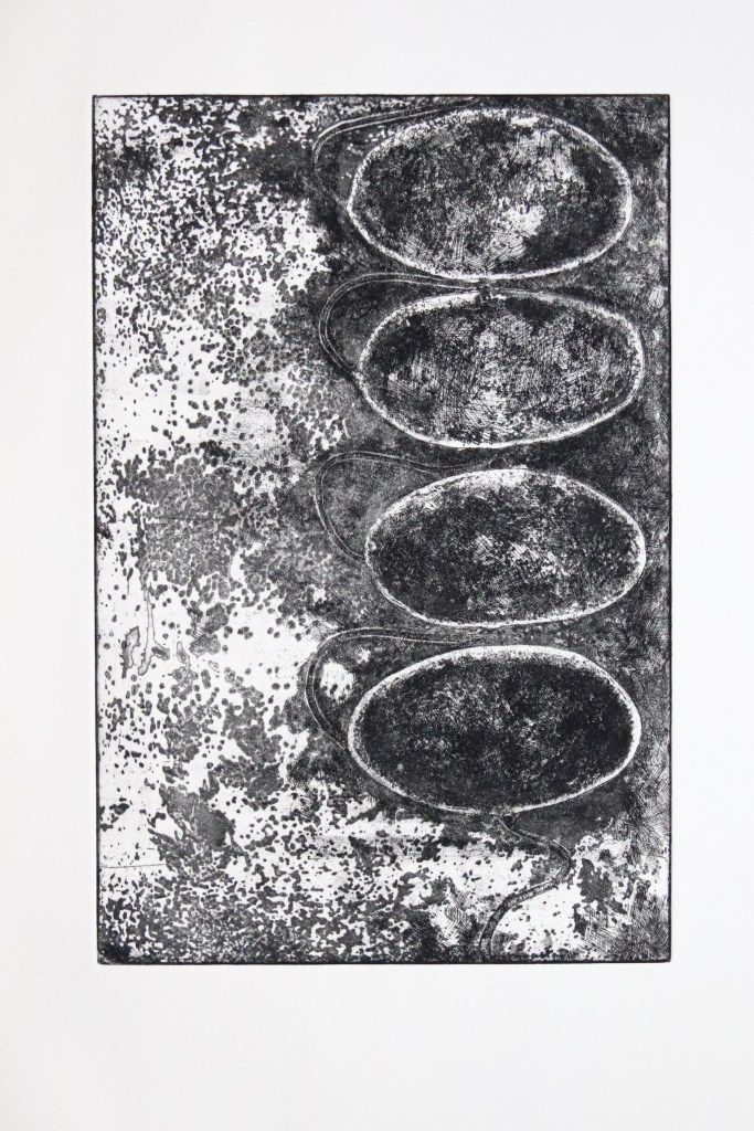 fran farrar, printmaking, printmaker, copper etching, etching, artist