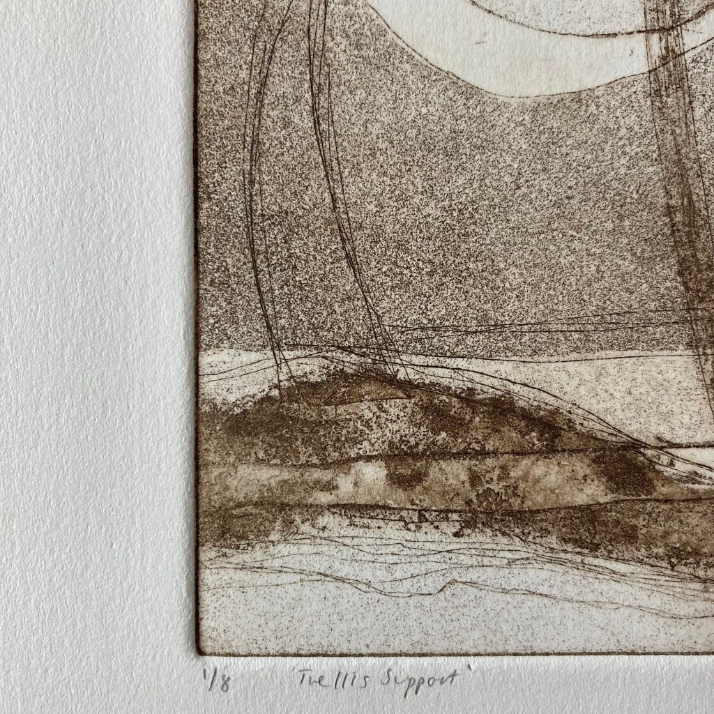 Fran Farrar, artist, sketchbook, abstract artist, printmaker