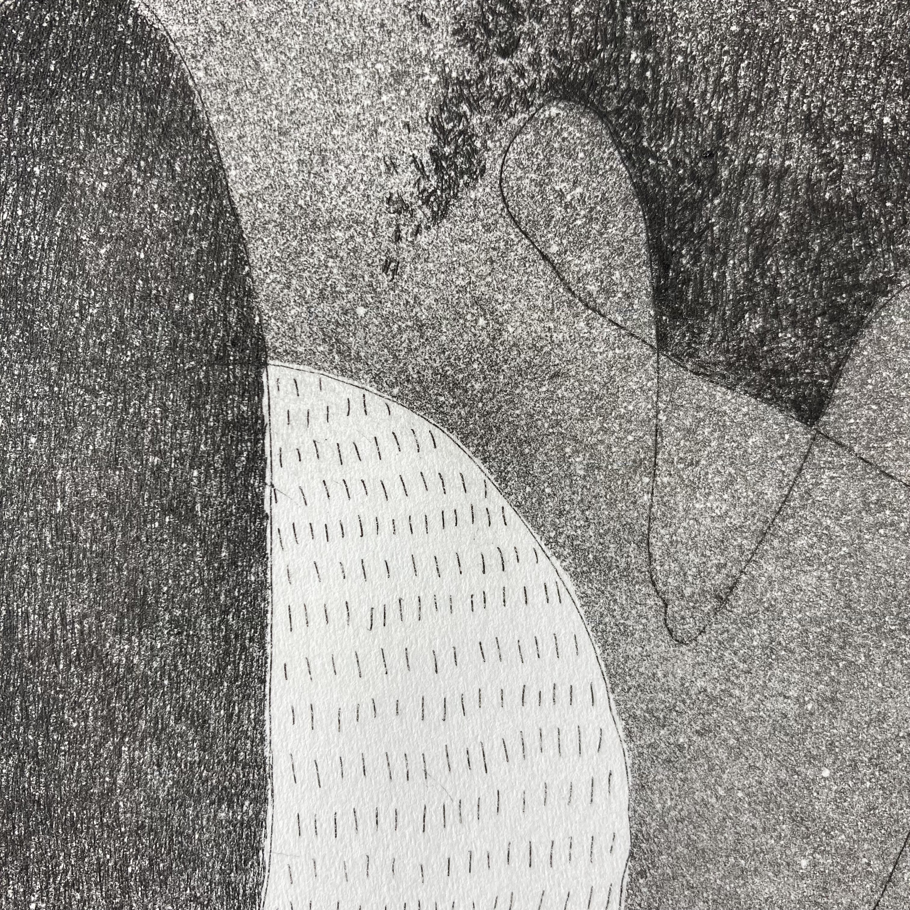 Copper etching, Fran Farrar, etching, printmaking