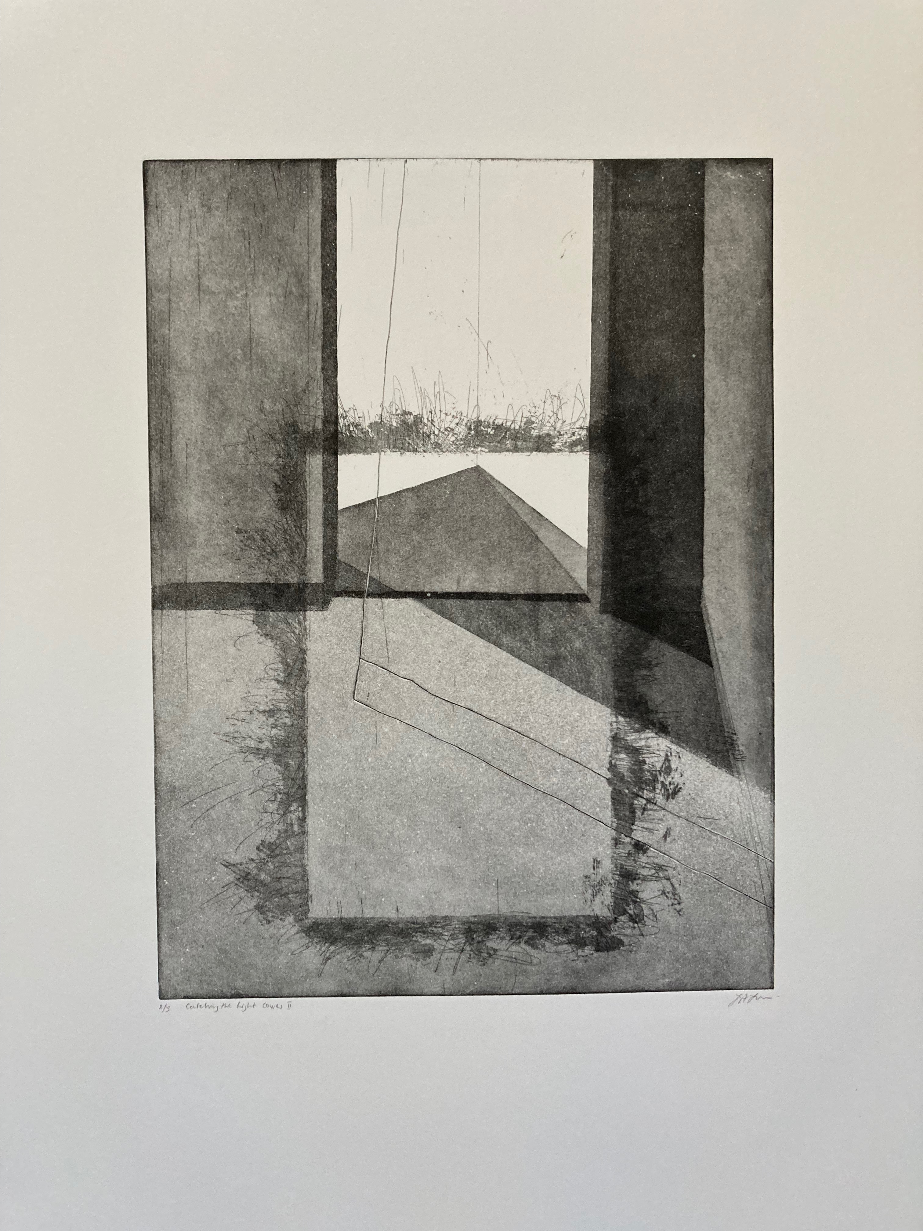 fran farrar, etching, printmaking