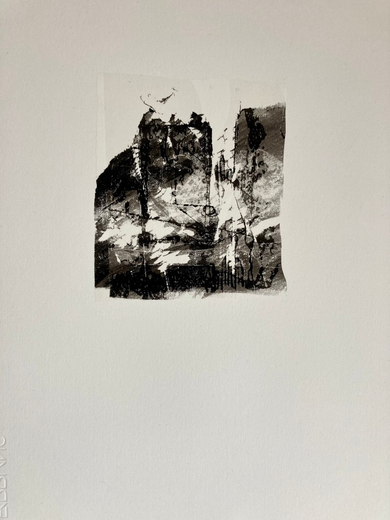 Fran farrar, printmaker, monotype