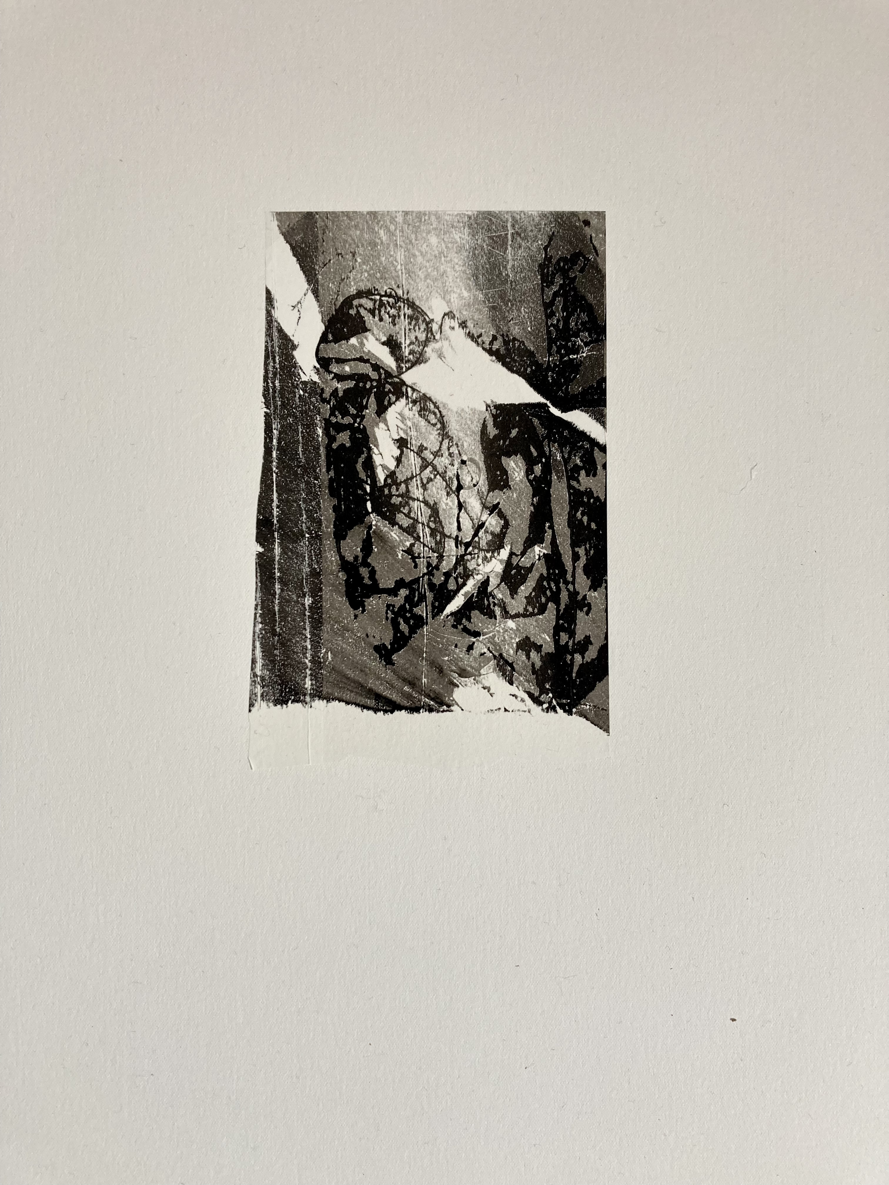 fran Farrar; monotype; printmaking; printmaker