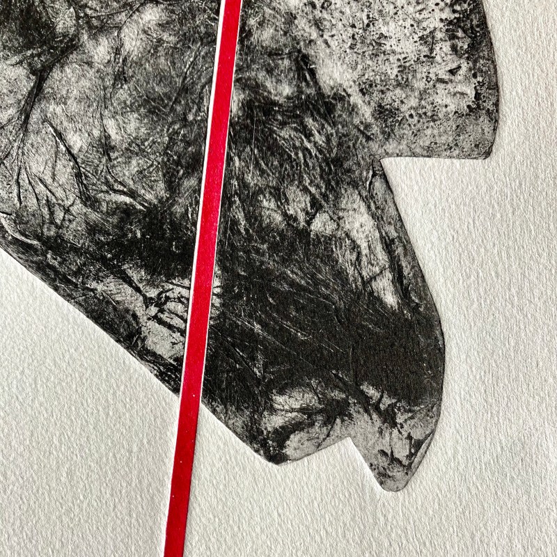 Fran Farrar; collograph; printmaking