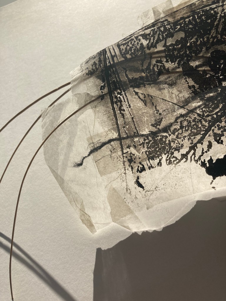 paper manipulation, Fran Farrar, printmaker