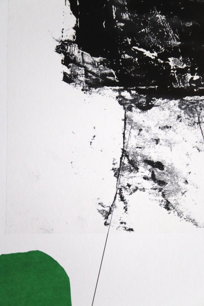 Fran Farrar, monotype, printmaker