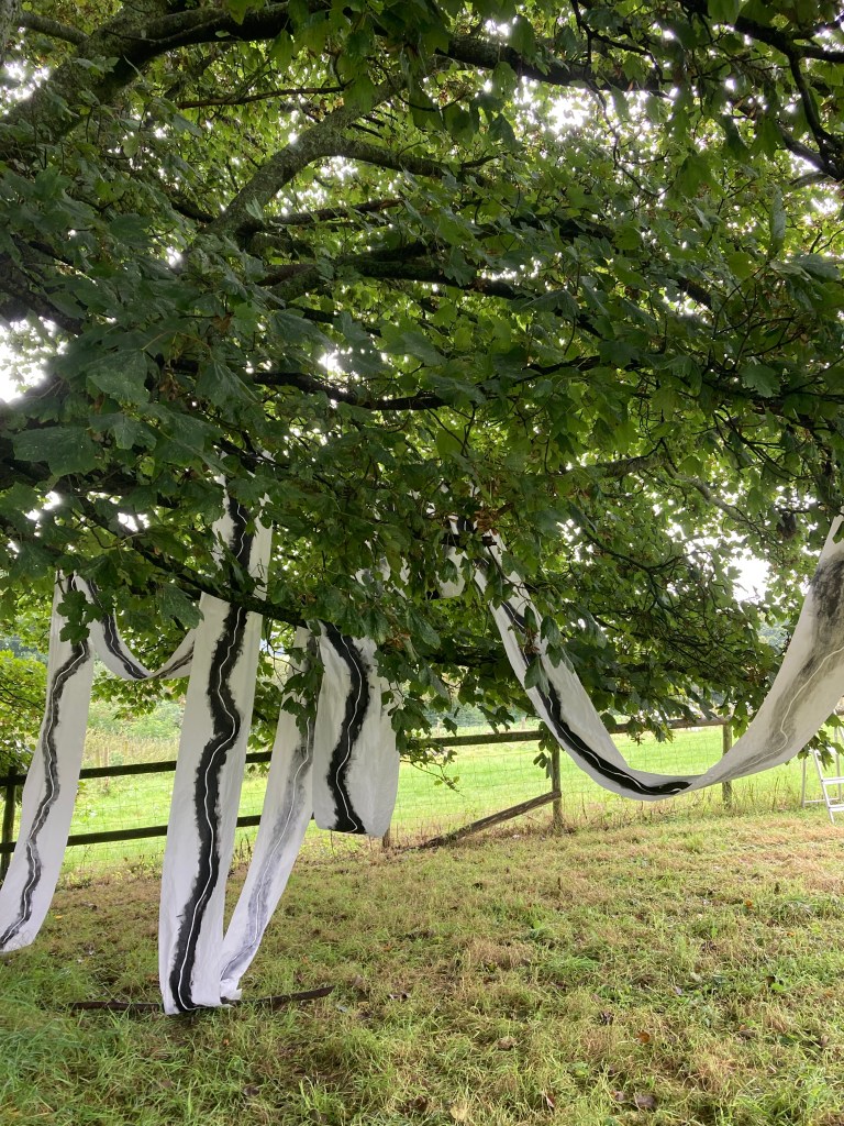 Fran Farrar, printmaker, installation