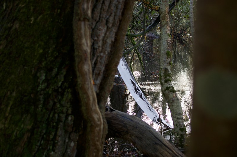 Fran Farrar, print installation, monotype, printmaker, film