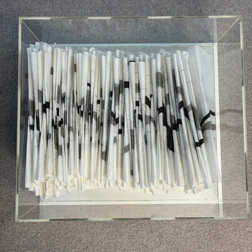 Contained Line: Wymondham; Fran Farrar; artist