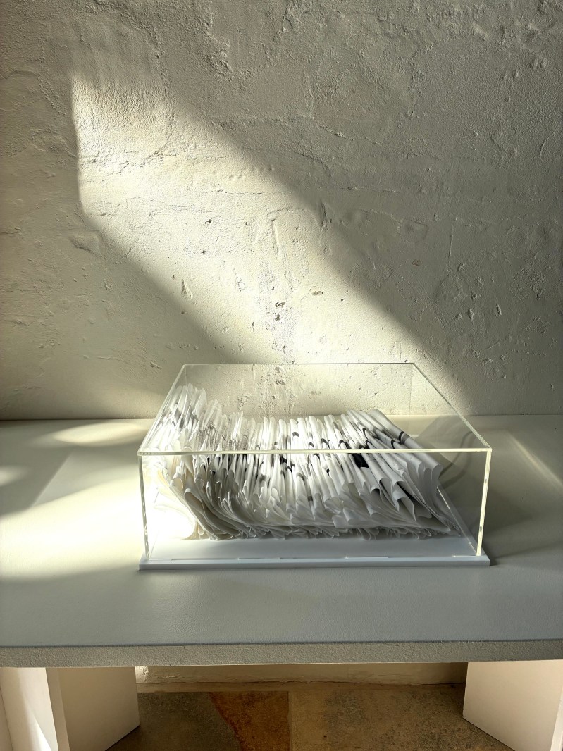 Contained Line: Wymondham; Fran Farrar; artist