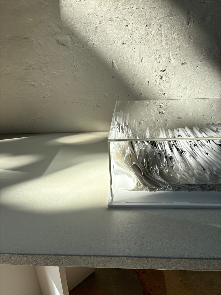 Contained Line: Wymondham; Fran Farrar; artist