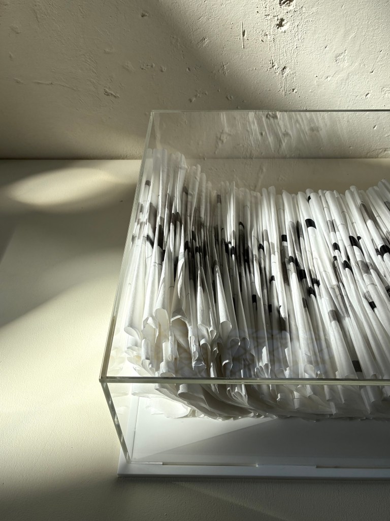 Contained Line: Wymondham; Fran Farrar; artist