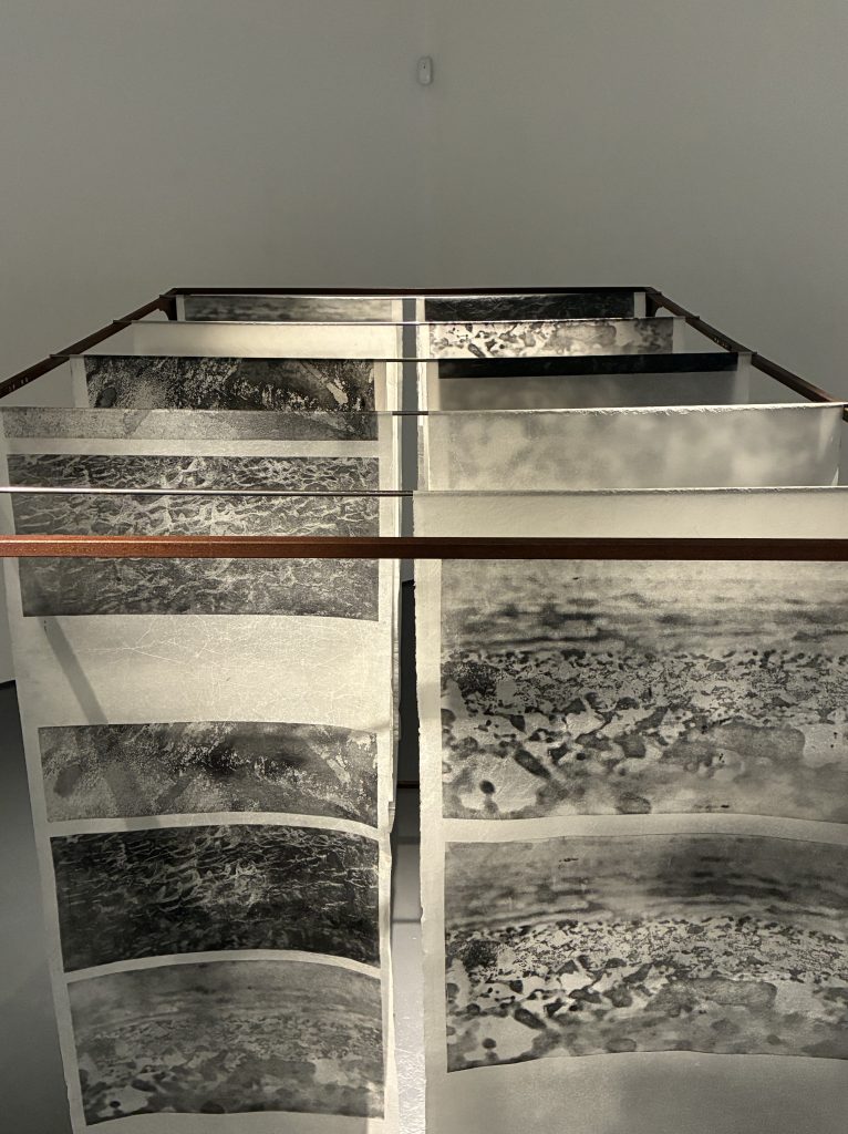 etching; print installation; Fran Farrar; printmaking; D-Day; landing beaches; ancestry