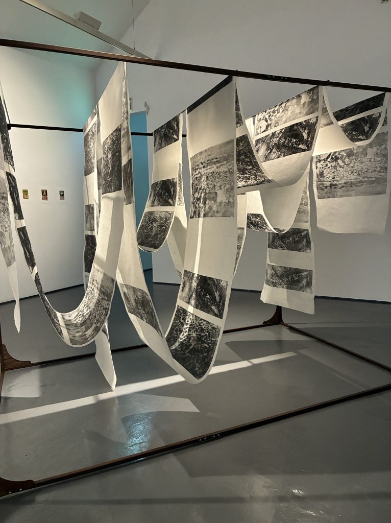 etching; print installation; Fran Farrar; printmaking; D-Day; landing beaches; ancestry