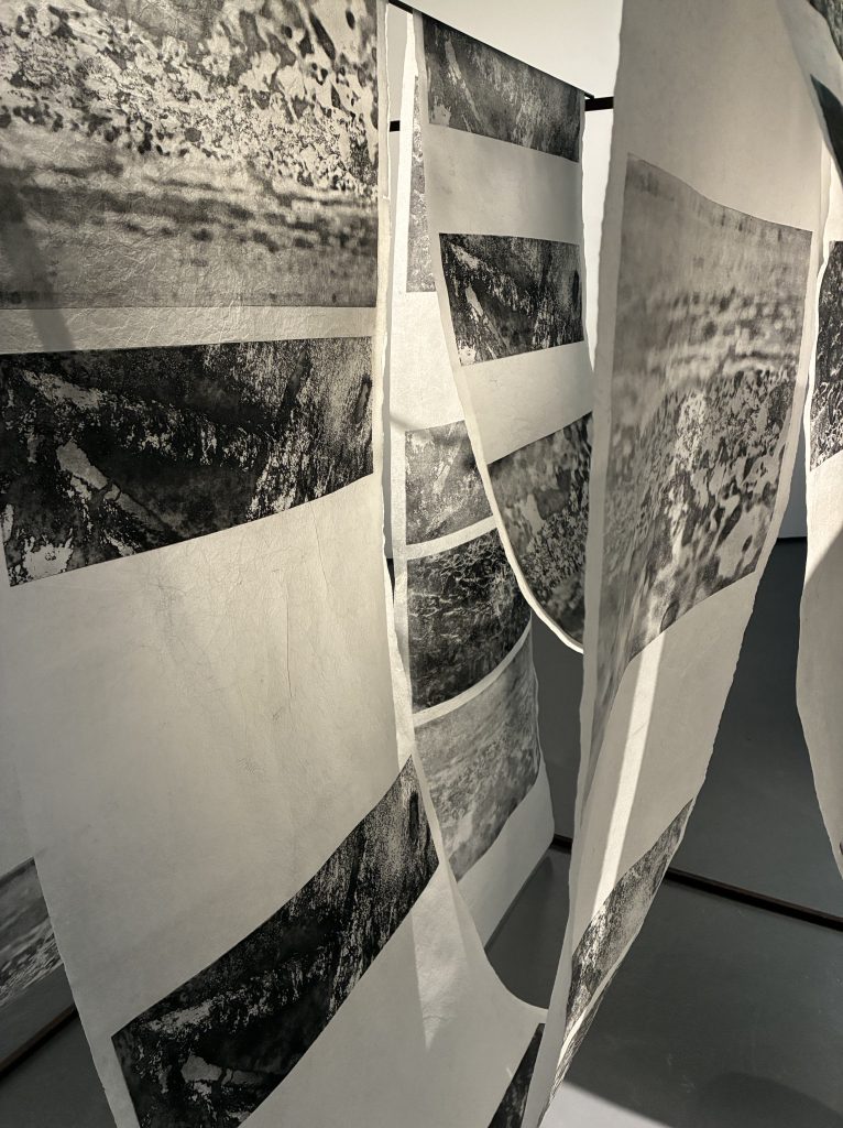 etching; print installation; Fran Farrar; printmaking; D-Day; landing beaches; ancestry